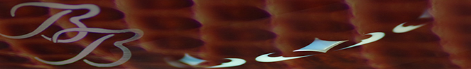 dsc65.jpg